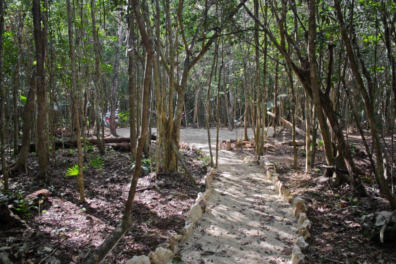 Aldea Maya-Ha Cabanas Con Cenotes Puerto Morelos Exterior foto